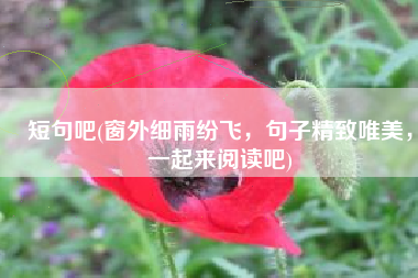 短句吧(窗外细雨纷飞，句子精致唯美，一起来阅读吧)