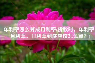 年利率怎么算成月利率(贷款时，年利率、月利率、日利率到底应该怎么算？)