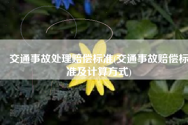 交通事故处理赔偿标准(交通事故赔偿标准及计算方式)