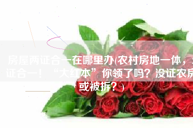 房屋两证合一在哪里办(农村房地一体，2证合一！“大红本”你领了吗？没证农房或被拆？)