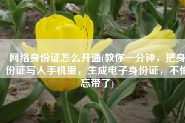 网络身份证怎么开通(教你一分钟，把身份证写入手机里，生成电子身份证，不怕忘带了)