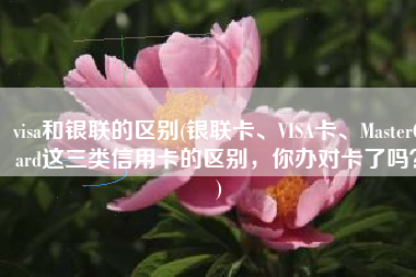 visa和银联的区别(银联卡、VISA卡、MasterCard这三类信用卡的区别，你办对卡了吗？)