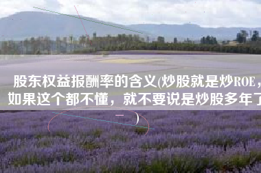 股东权益报酬率的含义(炒股就是炒ROE，如果这个都不懂，就不要说是炒股多年了)