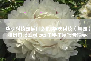 华映科技是做什么的(华映科技（集团）股份有限公司 2021年半年度报告摘要)