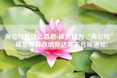壳公司是什么意思(被质疑为“壳公司”，瑞思教育收纳斯达克不合规通知)