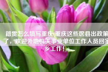 籍贯怎么填写重庆(重庆这些区县出政策了，欢迎外地机关事业单位工作人员回家乡工作！)