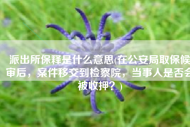 派出所保释是什么意思(在公安局取保候审后，案件移交到检察院，当事人是否会被收押？)