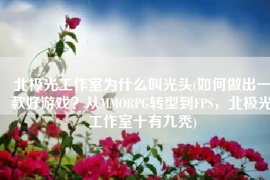 北极光工作室为什么叫光头(如何做出一款好游戏？从MMORPG转型到FPS，北极光工作室十有九秃)