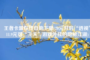 王者卡盟在线自助下单(20元开启“透视”11.9元可“飞天”游戏外挂的隐秘江湖)