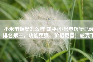 小米电饭煲怎么样 知乎(小米电饭煲已经排名第三，功能更强、价格更香！感受下)