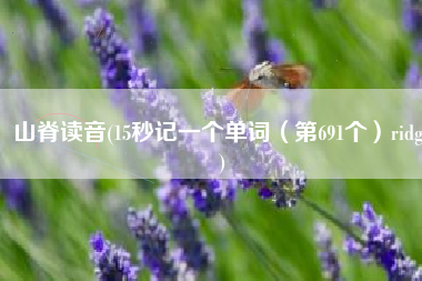 山脊读音(15秒记一个单词（第691个）ridge)