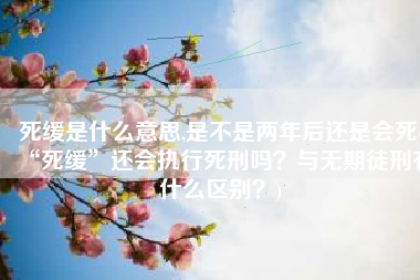 死缓是什么意思,是不是两年后还是会死(“死缓”还会执行死刑吗？与无期徒刑有什么区别？)