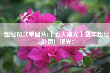 超载罚款单图片(【五大曝光】货车超载，处罚！曝光!)