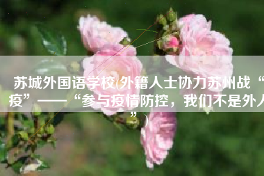 苏城外国语学校(外籍人士协力苏州战“疫”——“参与疫情防控，我们不是外人”)