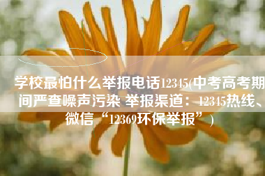 学校最怕什么举报电话12345(中考高考期间严查噪声污染 举报渠道：12345热线、微信“12369环保举报”)