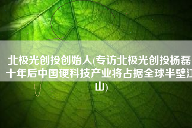 北极光创投创始人(专访北极光创投杨磊：十年后中国硬科技产业将占据全球半壁江山)