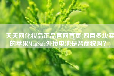 天天网化妆品正品官网首页(四百多块买的苹果MagSafe外接电池是智商税吗？)