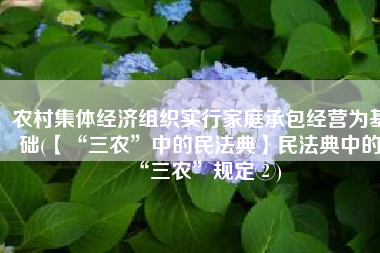 农村集体经济组织实行家庭承包经营为基础(【“三农”中的民法典】民法典中的“三农”规定②)