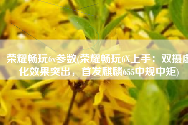 荣耀畅玩6x参数(荣耀畅玩6X上手：双摄虚化效果突出，首发麒麟655中规中矩)