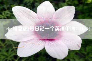 rim啥意思(每日记一个英语单词：Hack)