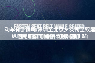 动车有卧铺吗(深圳至北京夕发朝至双层纵向卧铺动车 春运亮相深圳北站)