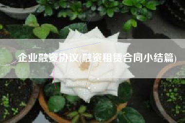 企业融资协议(融资租赁合同小结篇)