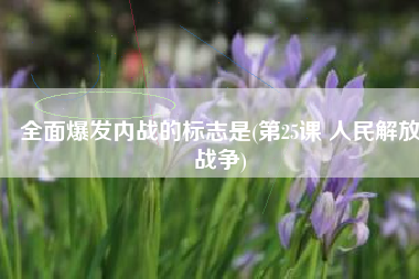 全面爆发内战的标志是(第25课 人民解放战争)