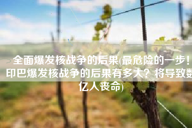全面爆发核战争的后果(最危险的一步！印巴爆发核战争的后果有多大？将导致数亿人丧命)