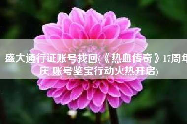 盛大通行证账号找回(《热血传奇》17周年庆 账号鉴宝行动火热开启)