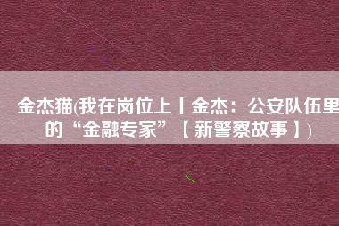 金杰猫(我在岗位上丨金杰：公安队伍里的“金融专家”【新警察故事】)