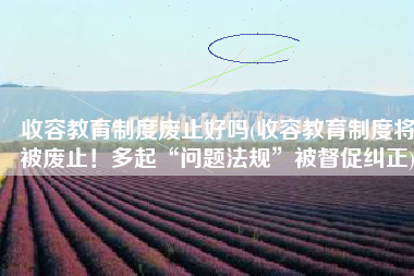 收容教育制度废止好吗(收容教育制度将被废止！多起“问题法规”被督促纠正)