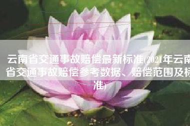 云南省交通事故赔偿最新标准(2021年云南省交通事故赔偿参考数据、赔偿范围及标准)