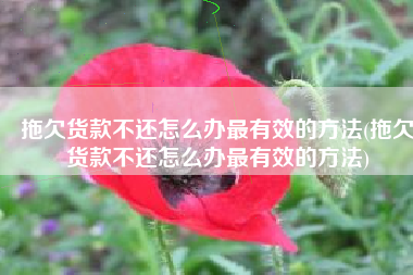 拖欠货款不还怎么办最有效的方法(拖欠货款不还怎么办最有效的方法)