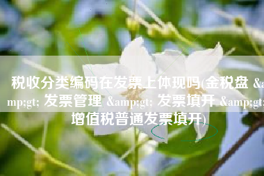 税收分类编码在发票上体现吗(金税盘 > 发票管理 > 发票填开 > 增值税普通发票填开)