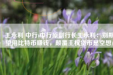 王永利 中行(中行原副行长王永利：别期望用比特币赚钱，颠覆主权货币是空想)