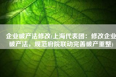 企业破产法修改(上海代表团：修改企业破产法，规范府院联动完善破产重整)
