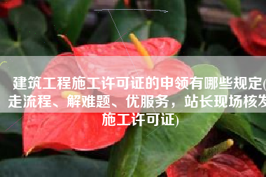 建筑工程施工许可证的申领有哪些规定(走流程、解难题、优服务，站长现场核发施工许可证)