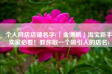 个人网店店铺名字(「金洲鹏」淘宝新手卖家必看！教你取一个吸引人的店名)
