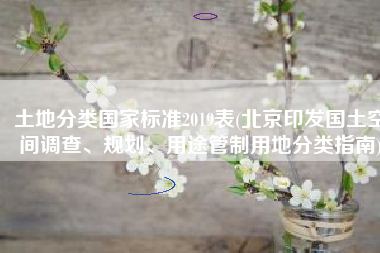 土地分类国家标准2019表(北京印发国土空间调查、规划、用途管制用地分类指南)
