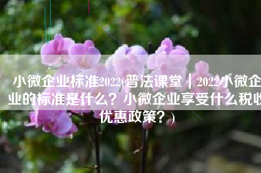 小微企业标准2022(普法课堂｜2022小微企业的标准是什么？小微企业享受什么税收优惠政策？)