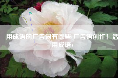 用成语的广告词有哪些(广告语创作！活用成语)