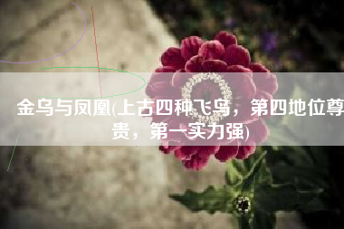 金乌与凤凰(上古四种飞鸟，第四地位尊贵，第一实力强)