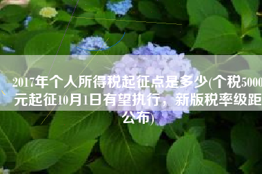 2017年个人所得税起征点是多少(个税5000元起征10月1日有望执行，新版税率级距公布)