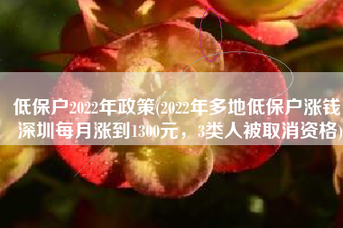 低保户2022年政策(2022年多地低保户涨钱，深圳每月涨到1300元，3类人被取消资格)