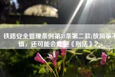 铁路安全管理条例第53条第二款(放风筝不慎，还可能会触犯《刑法》？)