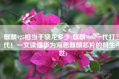 麒麟925相当于骁龙多少(麒麟9000一代打三代！一文读懂华为海思麒麟芯片的前生今世)