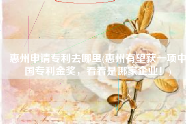 惠州申请专利去哪里(惠州有望获一项中国专利金奖，看看是哪家企业！)