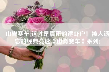 山脊赛车(这才是真正的逮虾户！被人遗忘的经典竞速《山脊赛车》系列)