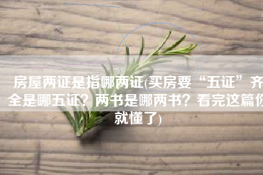 房屋两证是指哪两证(买房要“五证”齐全是哪五证？两书是哪两书？看完这篇你就懂了)