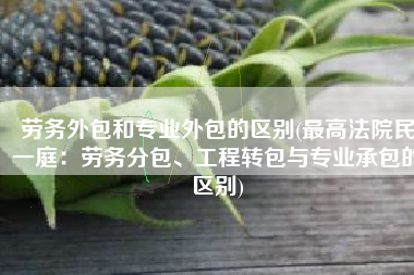 劳务外包和专业外包的区别(最高法院民一庭：劳务分包、工程转包与专业承包的区别)
